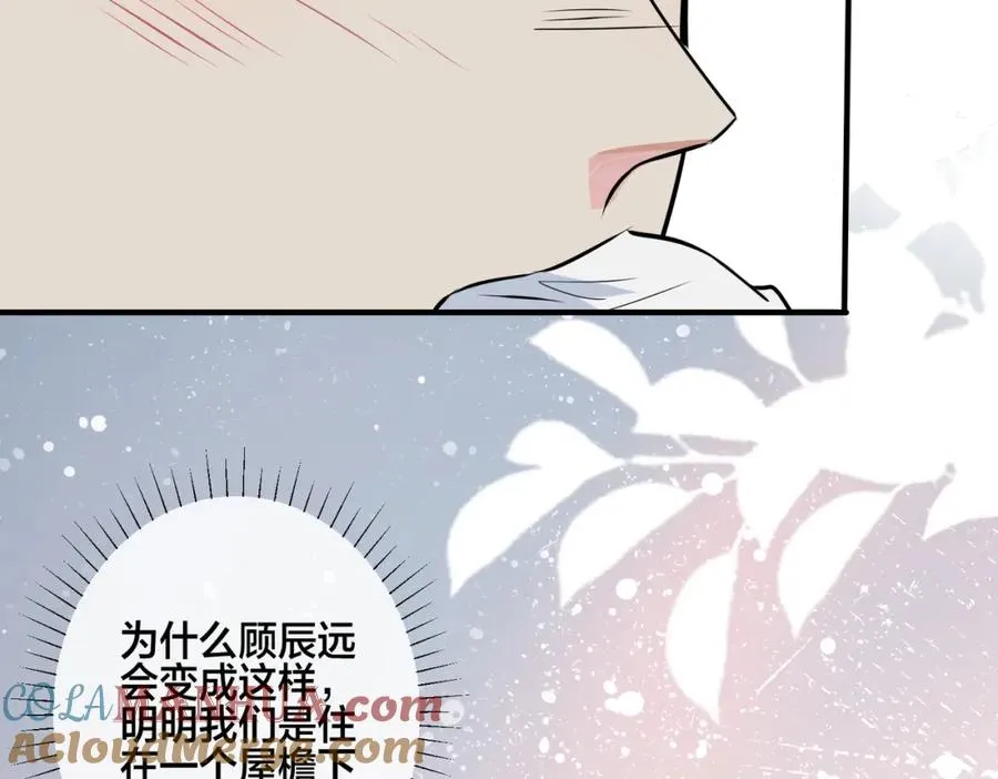 番外5 别叫我恨你8