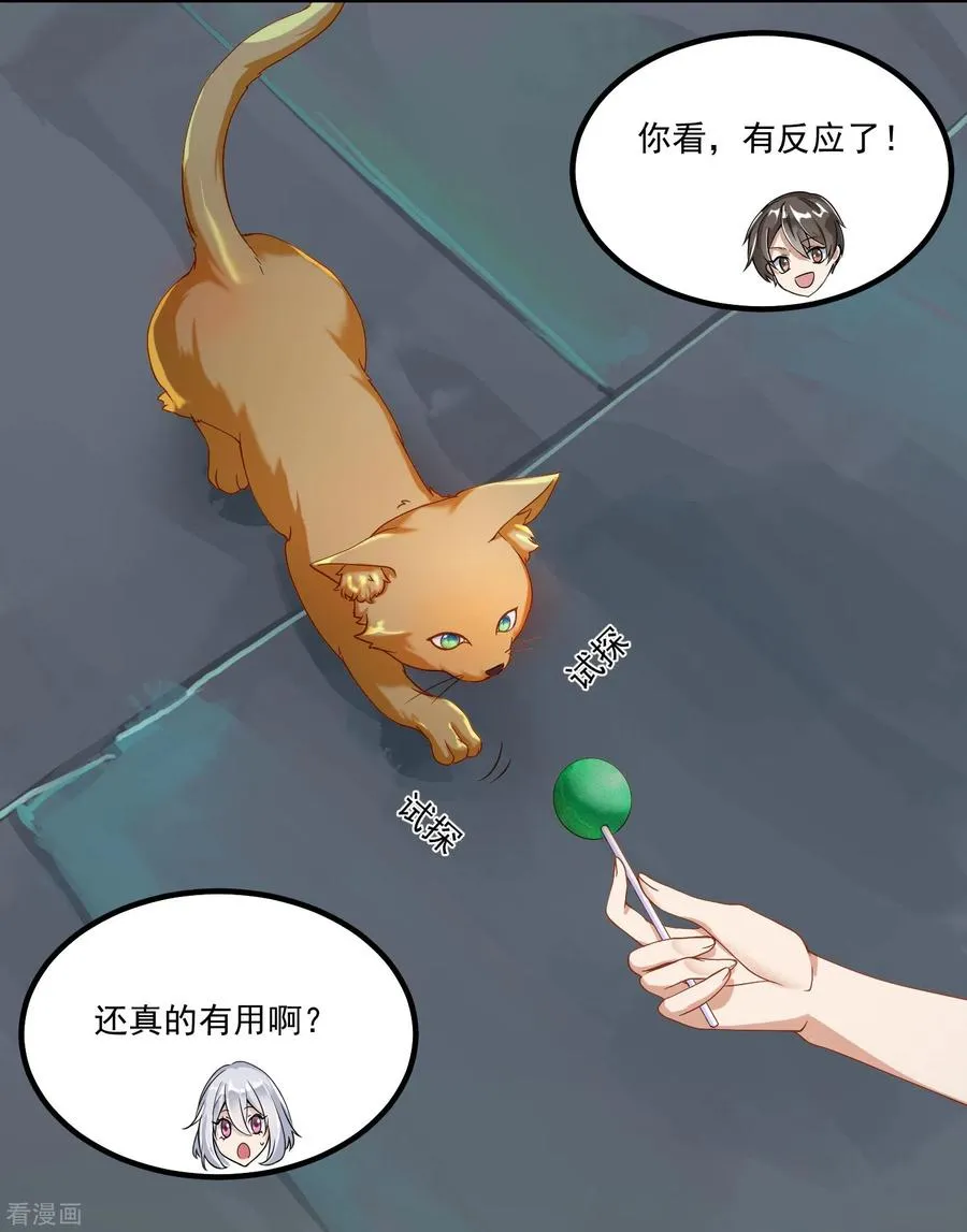 预告5