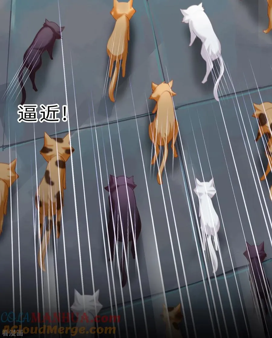 预告12