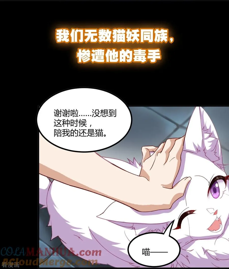 预告6