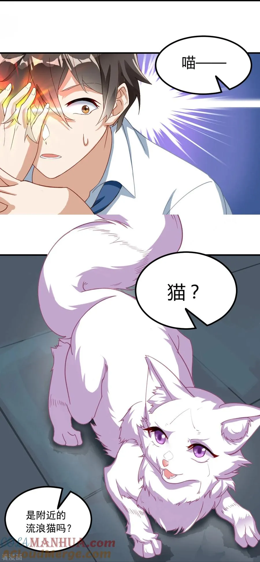 第3话 捡到神秘猫8