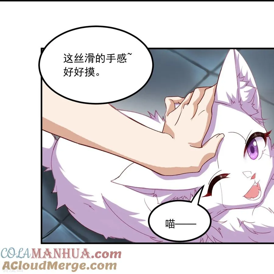 第3话 捡到神秘猫10
