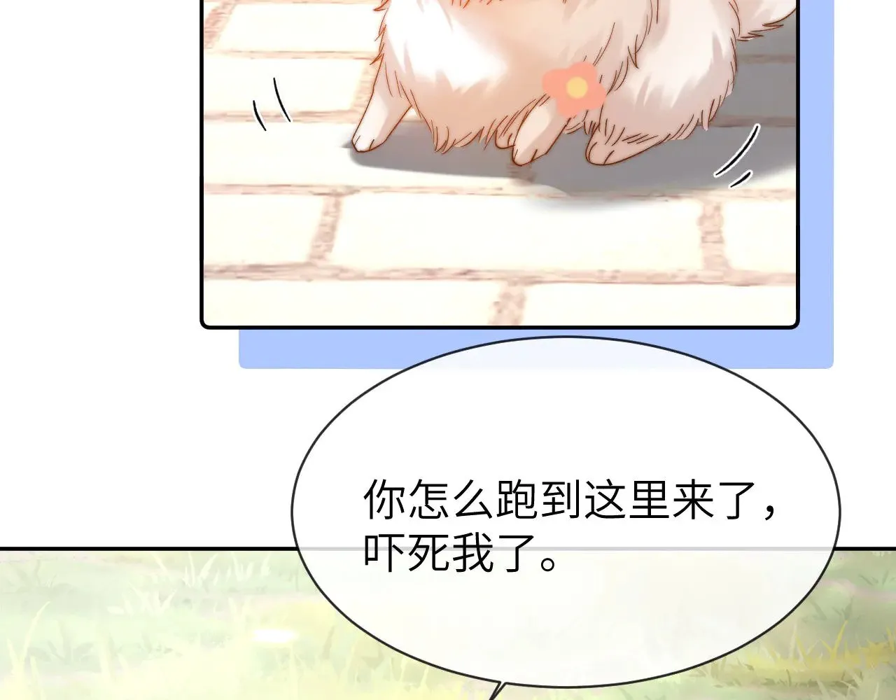 第49话 棉花糖走丢了？！66