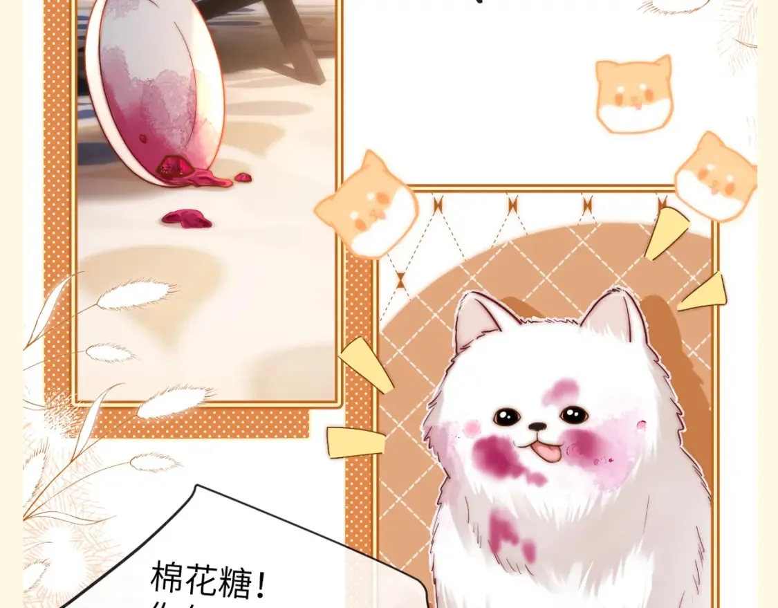 第82期 搞点事：乐乐的购物车里都有什么8