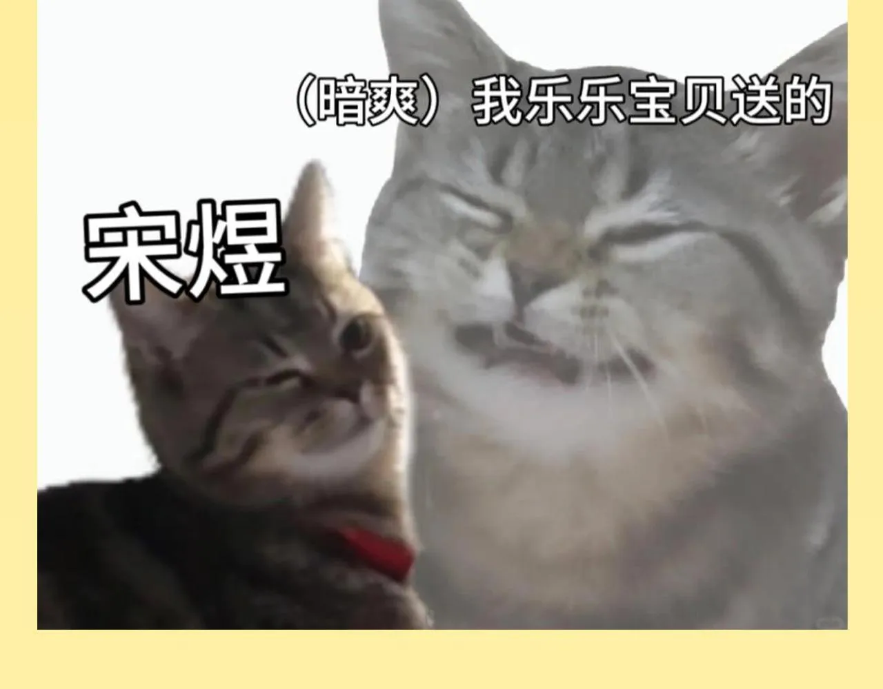 第32期 整活企划：来看一波烂梗~7