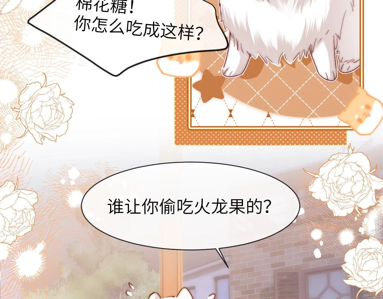 第13话 又踩坑了！13