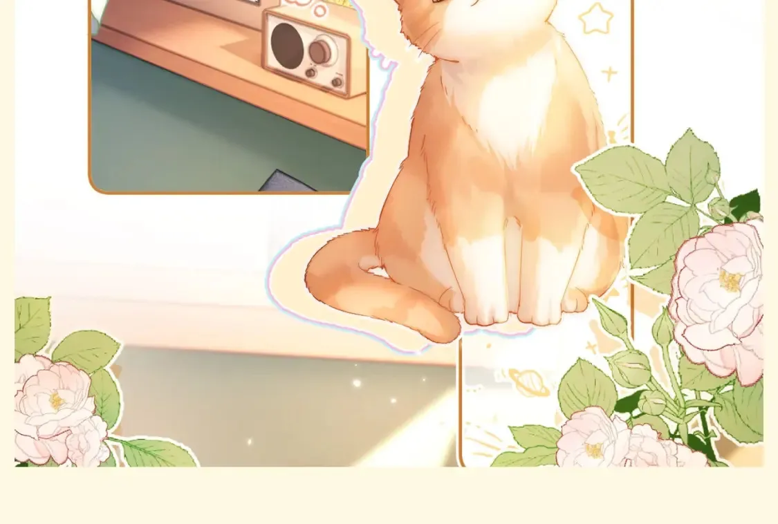 第90期 特别企划：乐乐的相册里都有什么照片？12