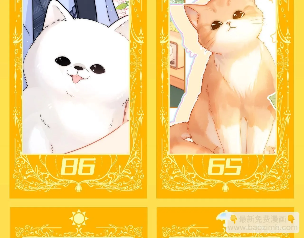 第36期 特别企划：乐乐牌塔罗占卜3