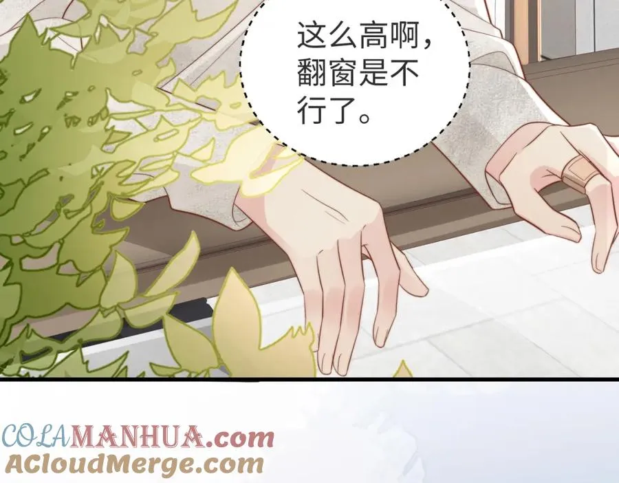 第04话 失忆了？我装的108