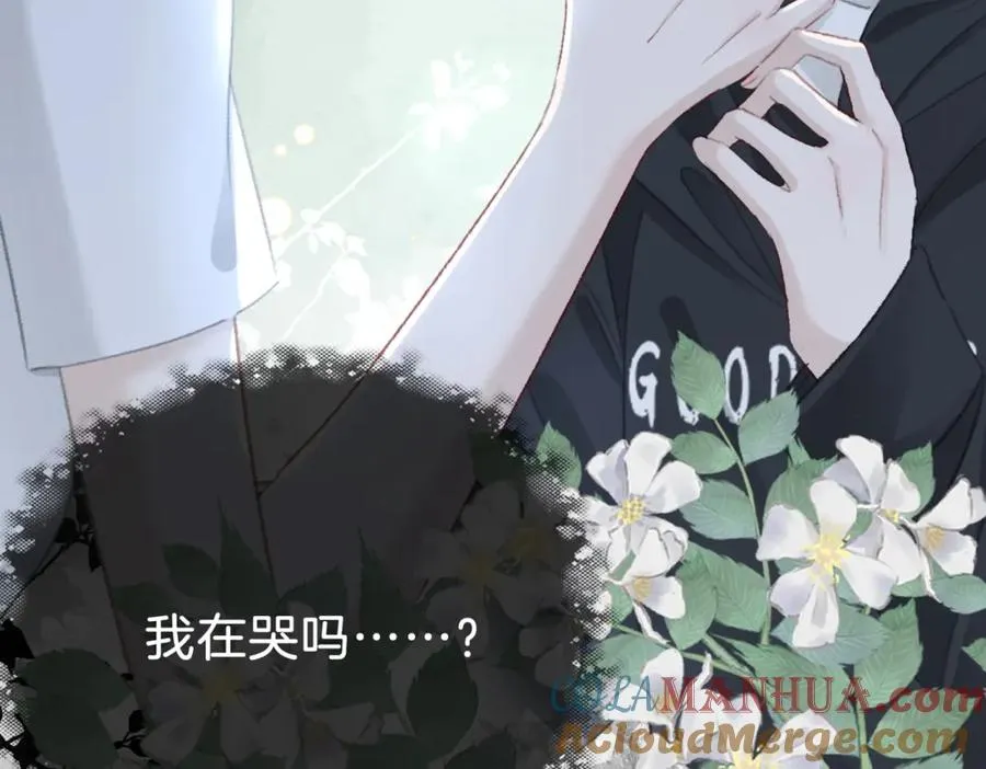第十五话：乘风80