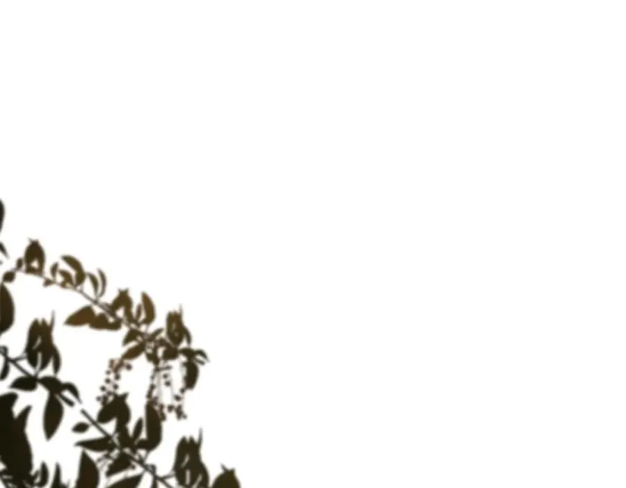 第二十五话 你吃糖吗？71