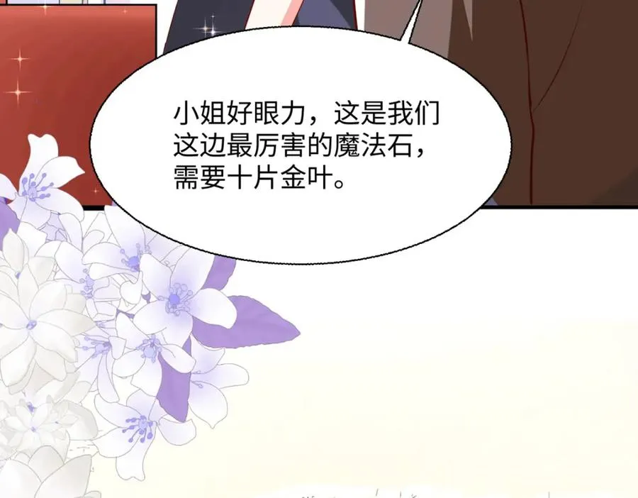 第44话 魔法石39