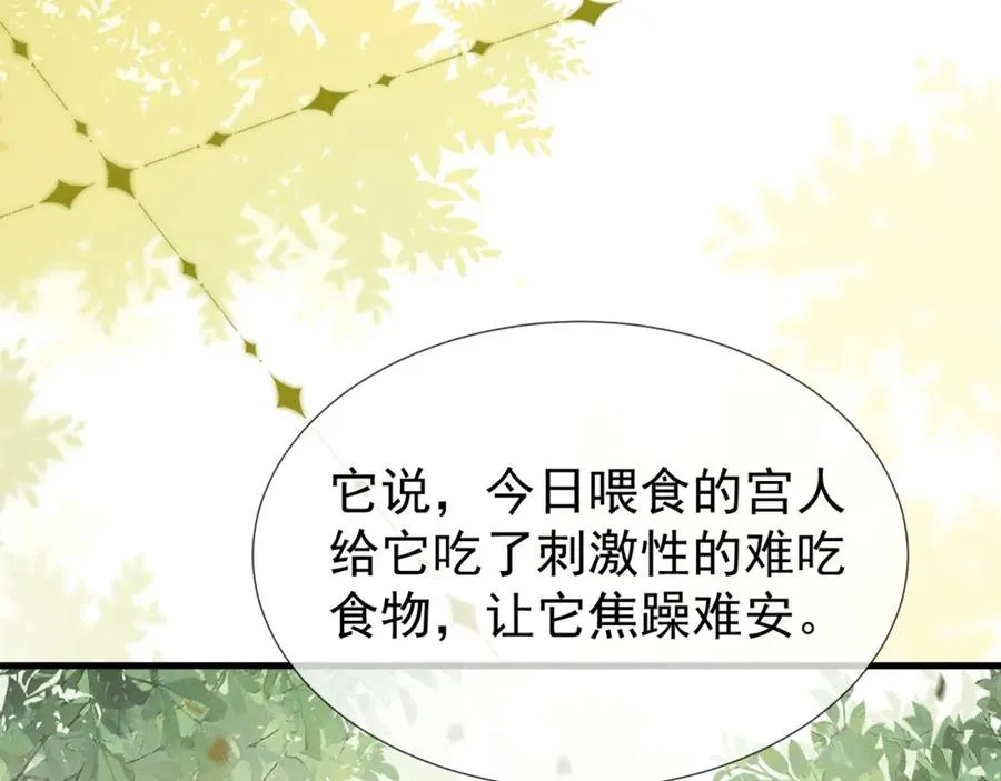 第6话 狐狐护崽67