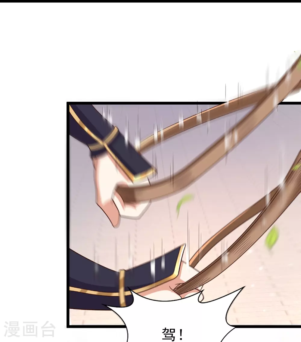 第34话 什么我竟然要秃了？30