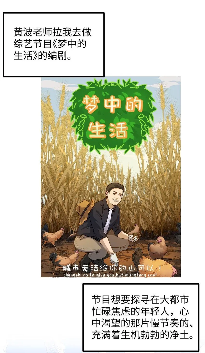 11 参加综艺，收割时间到1