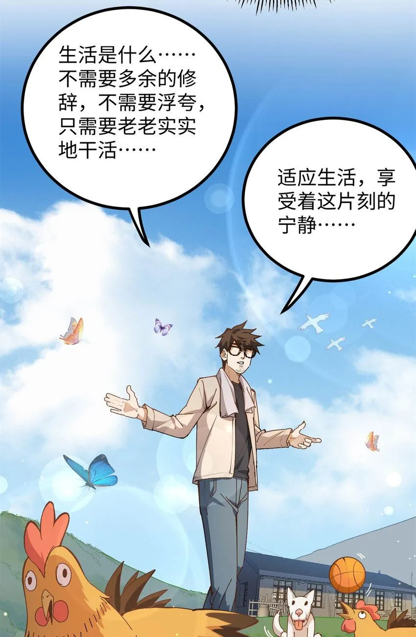 11 参加综艺，收割时间到31