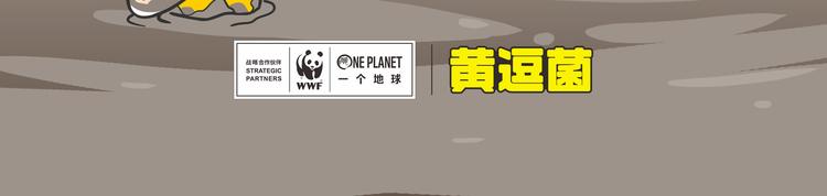 非洲“推土机”格罗拉21