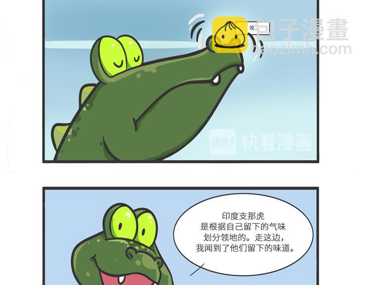 明日之星“达米尔”9