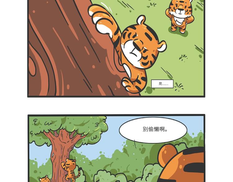 明日之星“达米尔”17