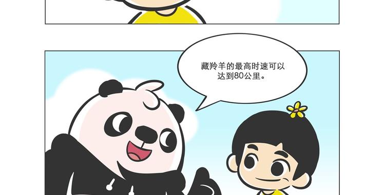 高原精灵“卓玛”和“桑吉”10