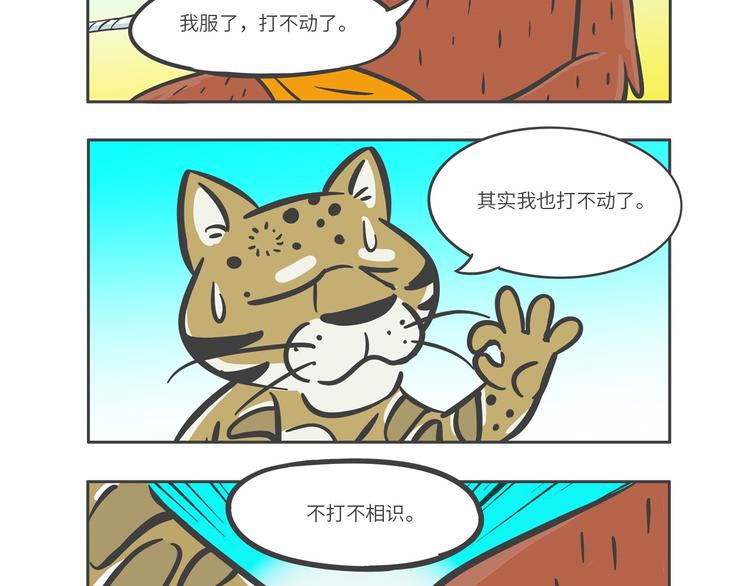 “强者对决”云豹沙普拉17