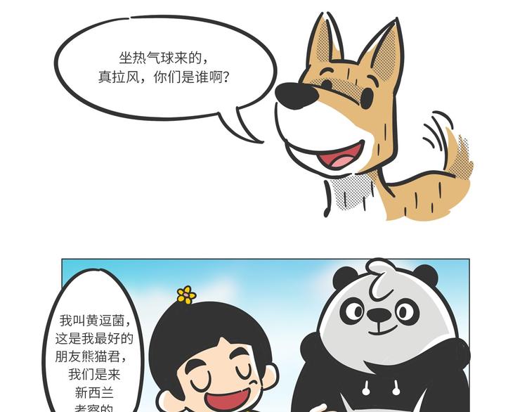 满满爱的几维鸟14