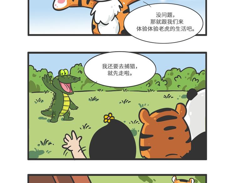 明日之星“达米尔”16