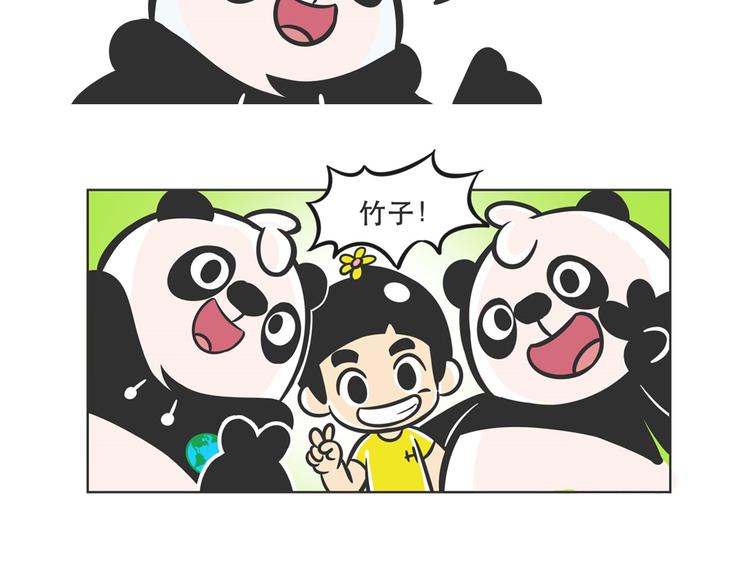 走丢的“熊猫君”17