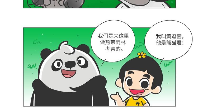雨林深处的王者“努卡”9