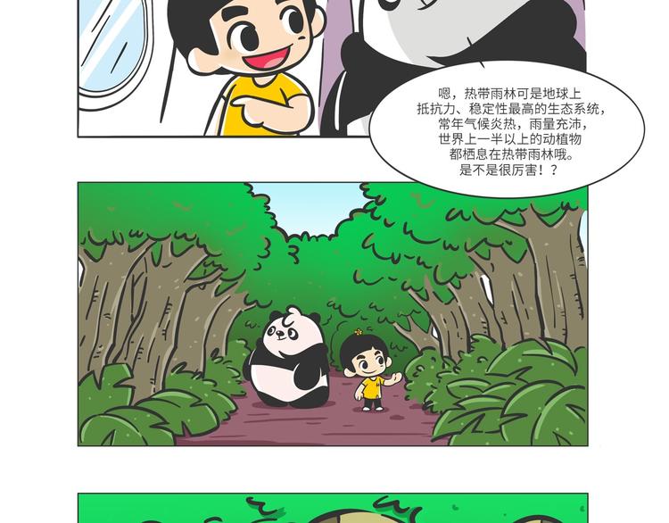 雨林深处的王者“努卡”2