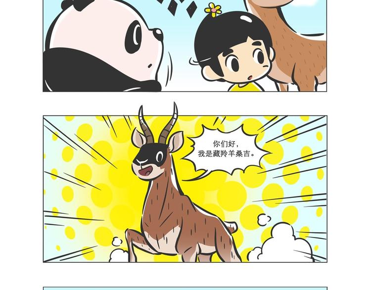 高原精灵“卓玛”和“桑吉”8