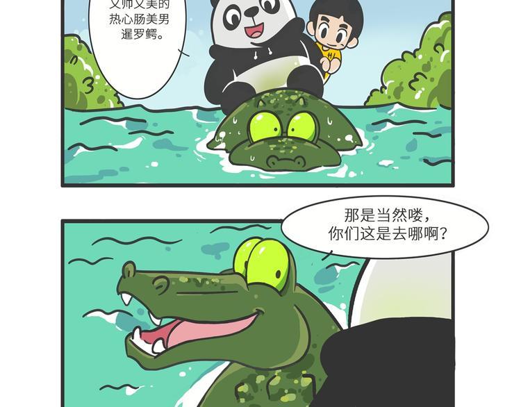 明日之星“达米尔”5