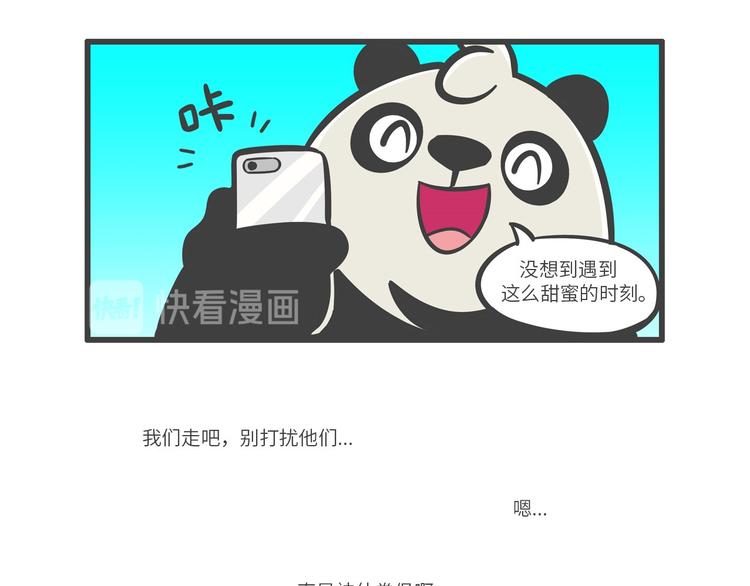 “武林高手”天堂鸟19
