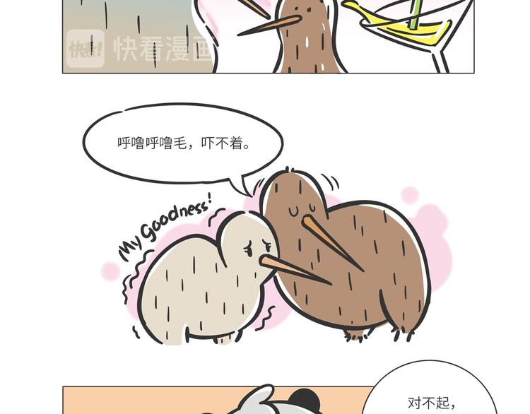 满满爱的几维鸟4