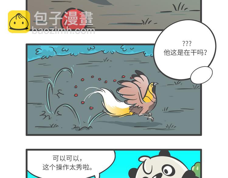 “武林高手”天堂鸟12