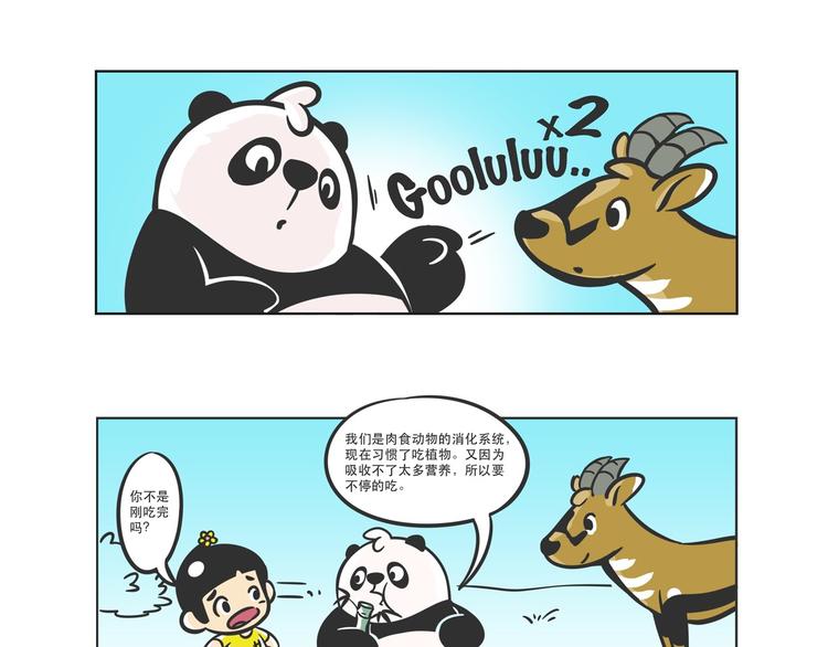 走丢的“熊猫君”8