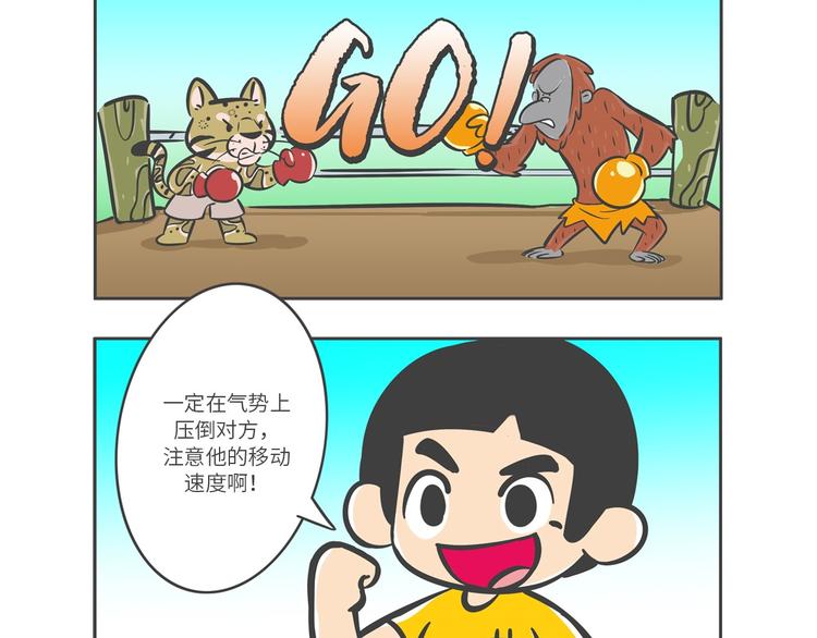 “强者对决”云豹沙普拉13