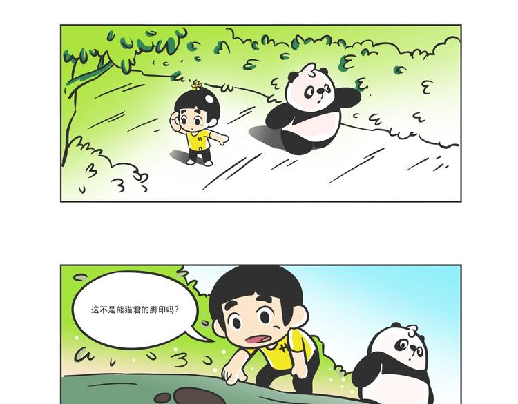 走丢的“熊猫君”10