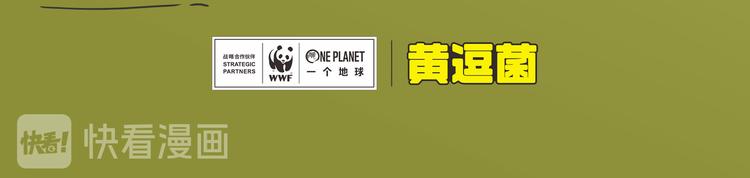 科普番外——新西兰的几维鸟7