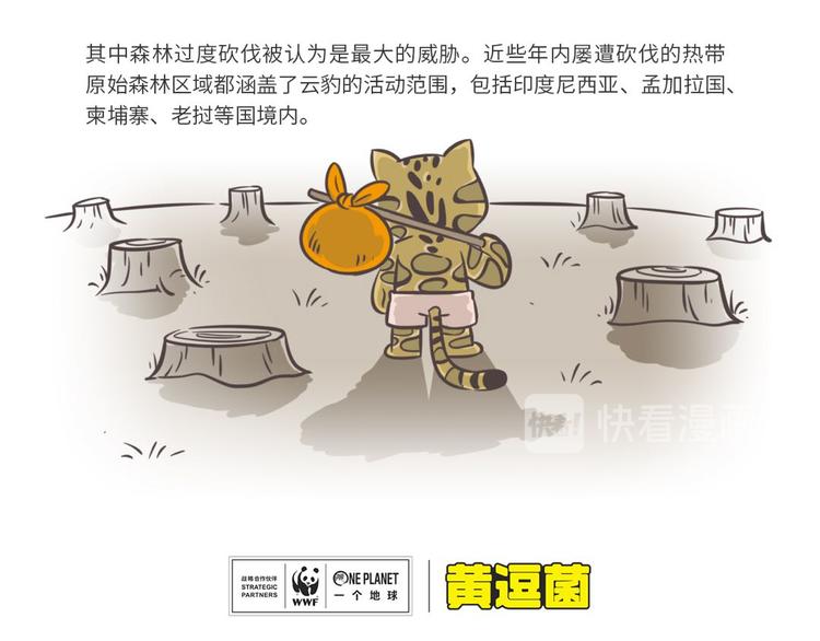 科普番外——印度尼西亚“云豹”3