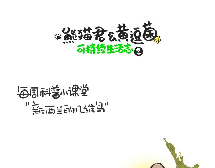 科普番外——新西兰的几维鸟0