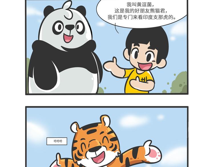 明日之星“达米尔”15