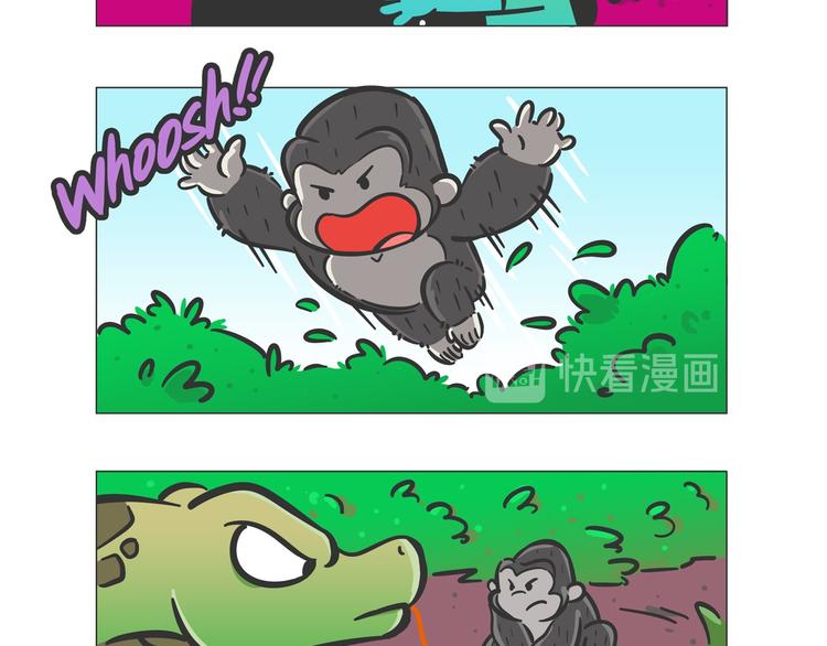 雨林深处的王者“努卡”4