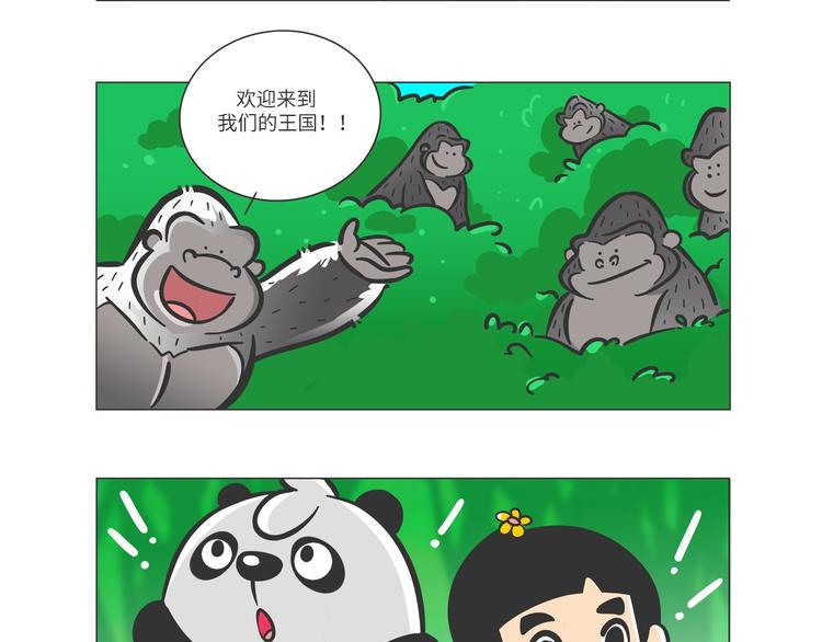 雨林深处的王者“努卡”10