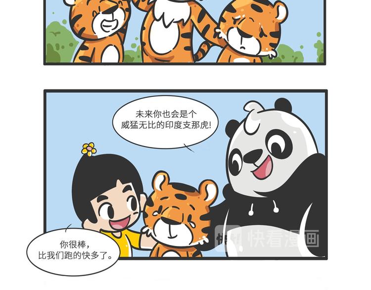 明日之星“达米尔”22