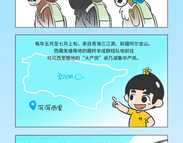 科普番外——藏羚羊的迁徙之旅1