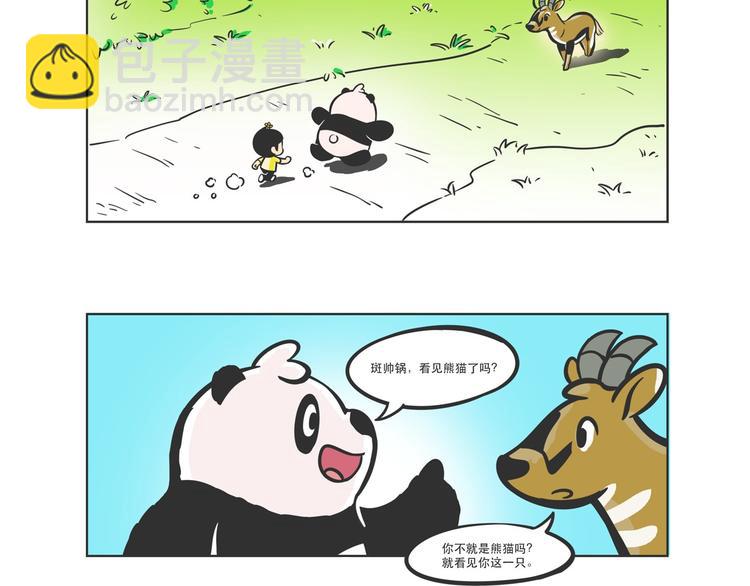 走丢的“熊猫君”7