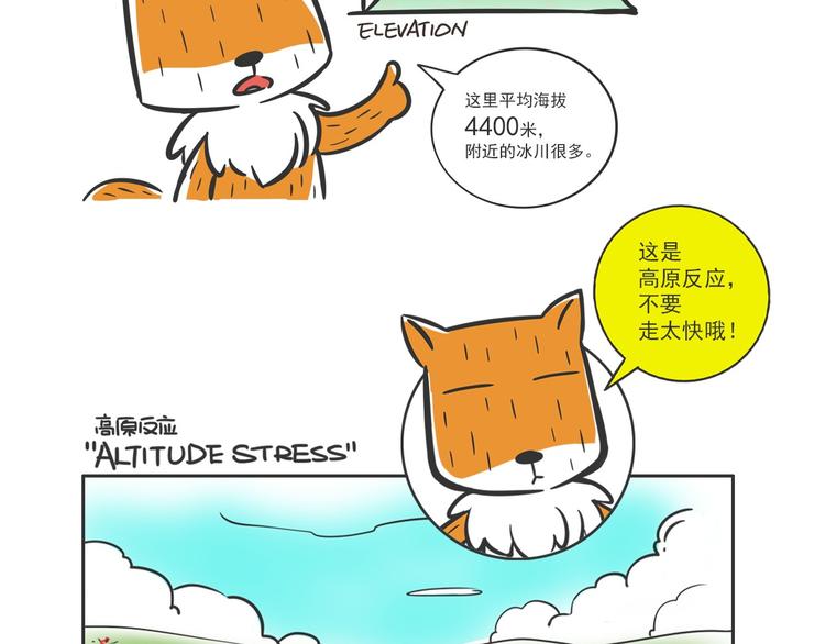 方脸向导“胡一万”9