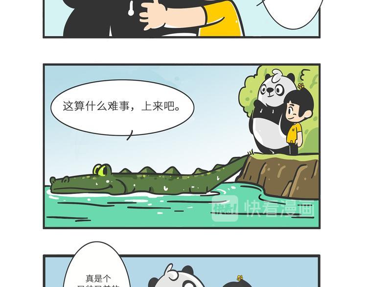明日之星“达米尔”4