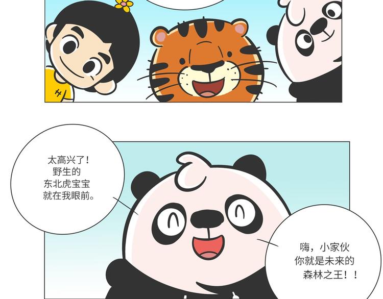 森林之王“虎威威”21
